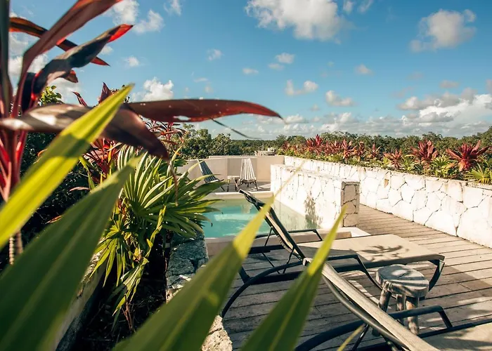 Vida Boho 3 With Special Fee To Access Bardo Appartement Tulum